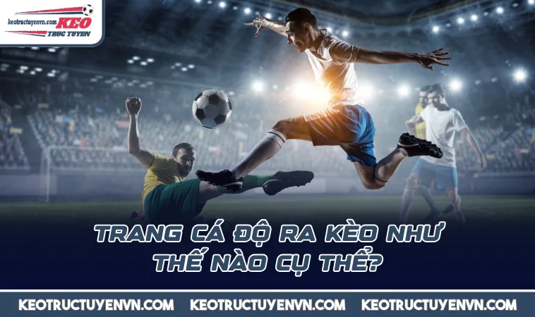 trang ca do ra keo nhu the nao cu the Trang cá độ ra kèo như thế nào cụ thể?