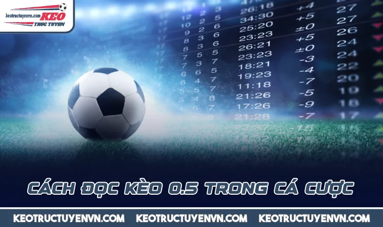 Cách đọc kèo 0.5 trong cá cược